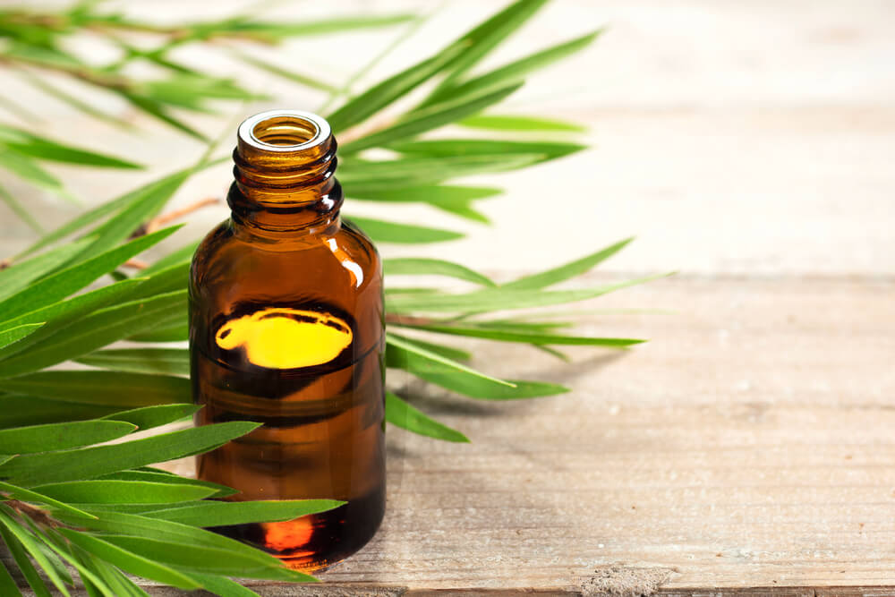 tea tree oil for scalp acne hair loss