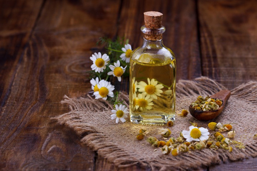 chamomile essential oil