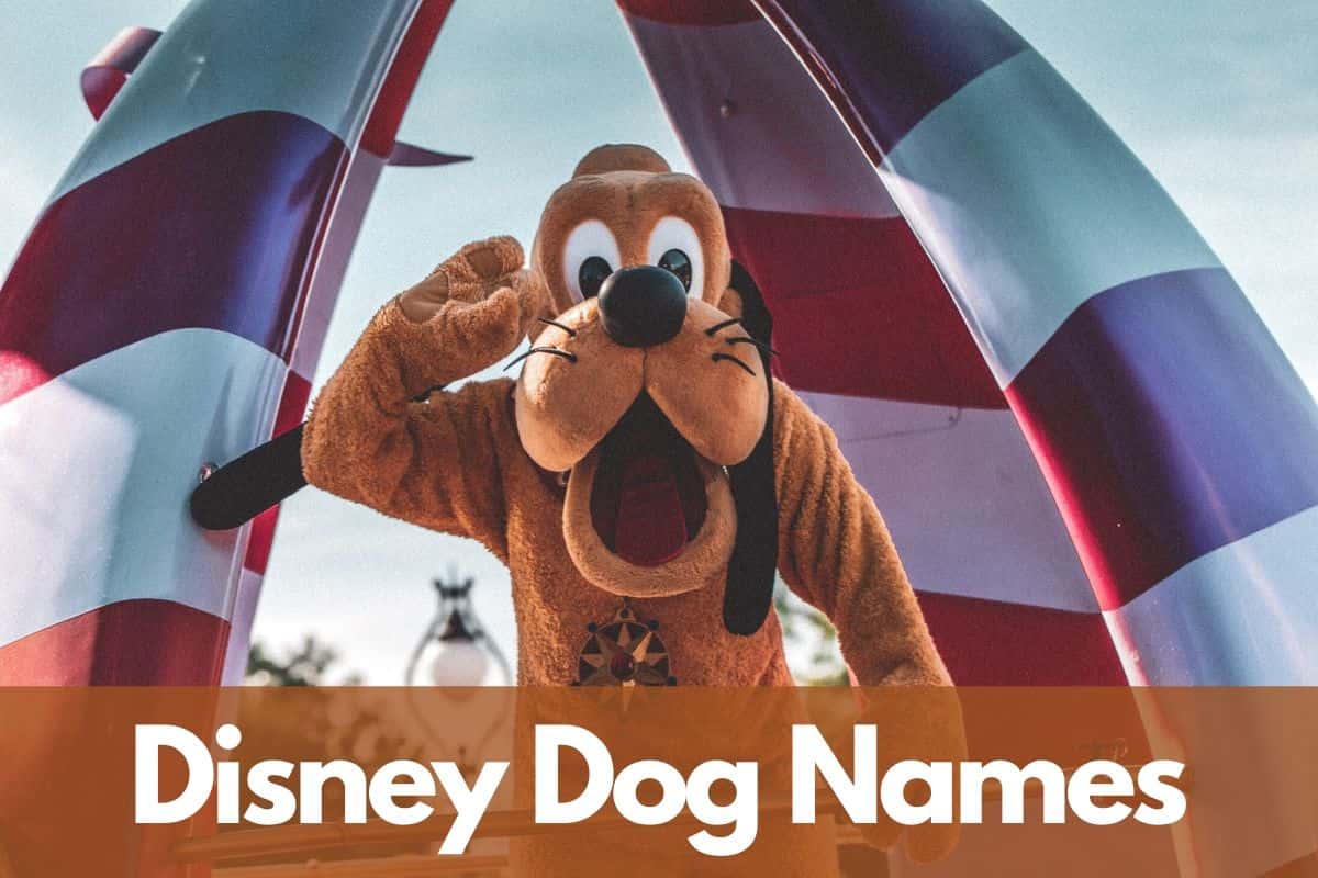 disney dogs names