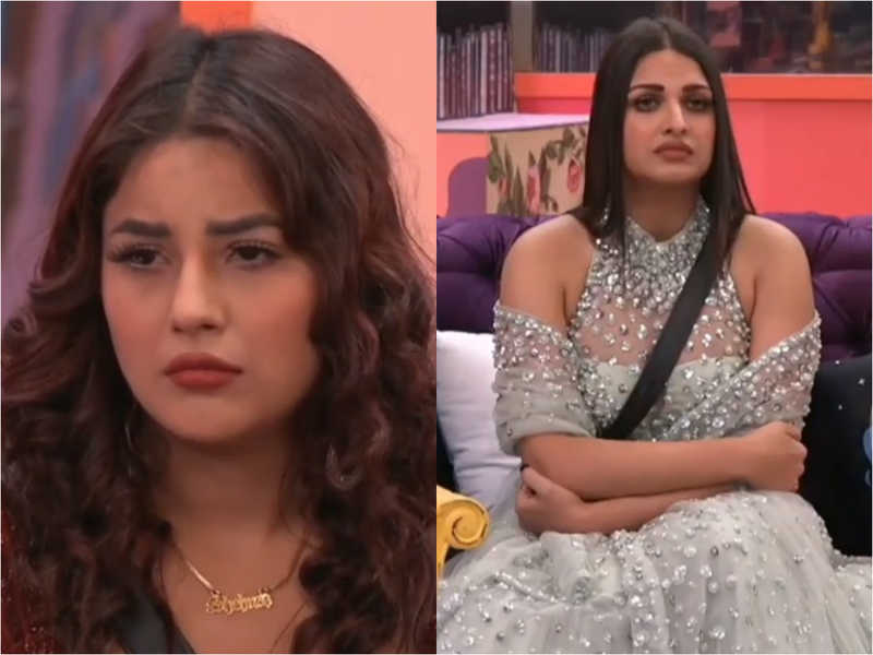 shehnaaz gill and himanshi khurana