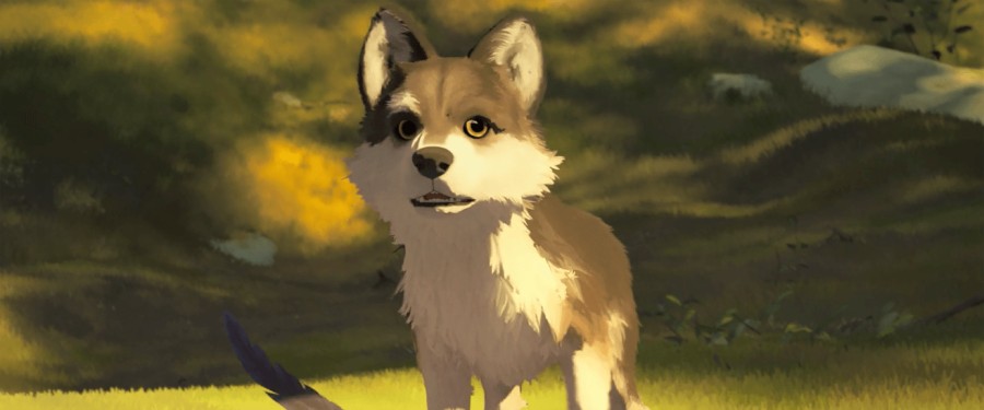 Relaxing Dog Movies On Netflix