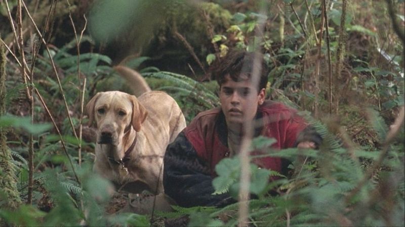 Far From Home: The Adventure of Yellow Dog