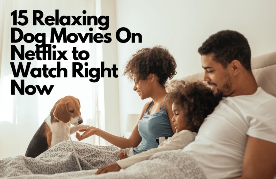 15 Relaxing Dog Movies On Netflix to Watch Right Now