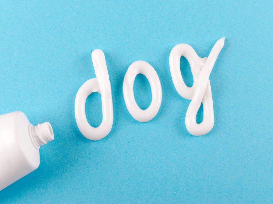 DIY Doggie Toothpaste Recipes