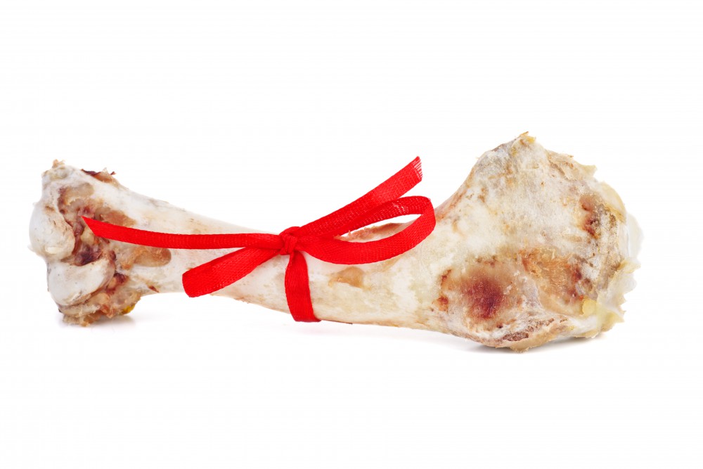 Why Do Dogs Like Bones