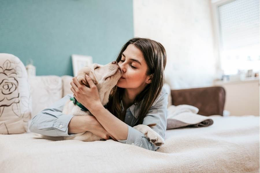 How to make your dog happy?