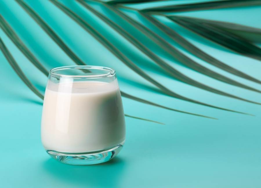 a glass of coconut milk