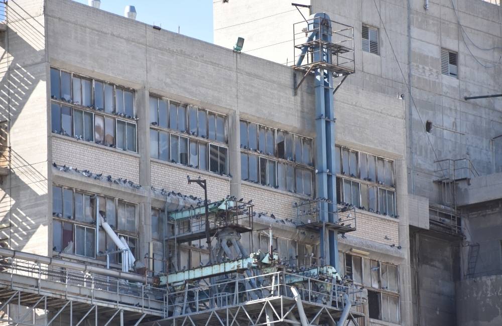 Get Rid of Pigeons at Industrial Facilities