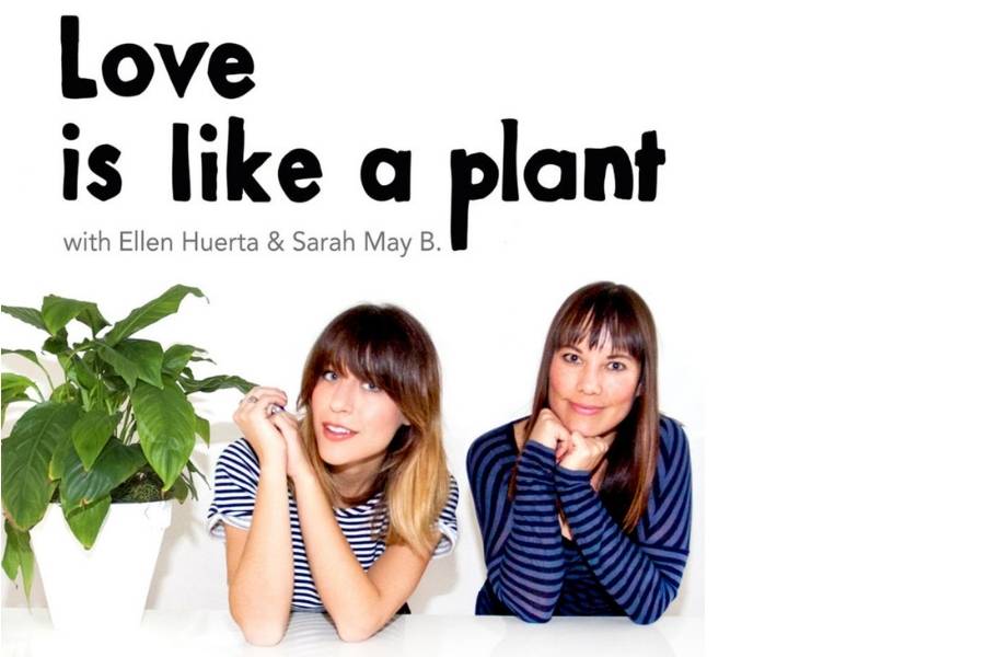 Love Is Like A Plant