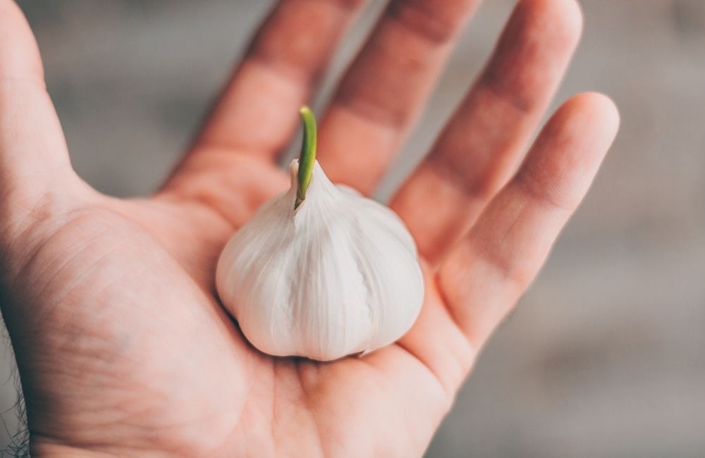 Garlic Benefits for Men