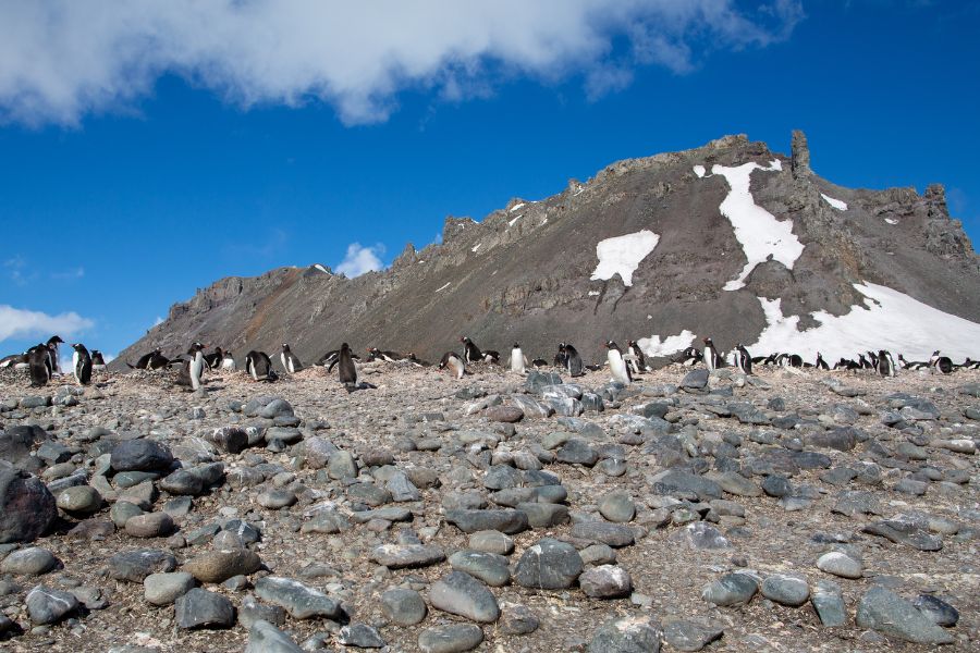 Antarctic Peninsula