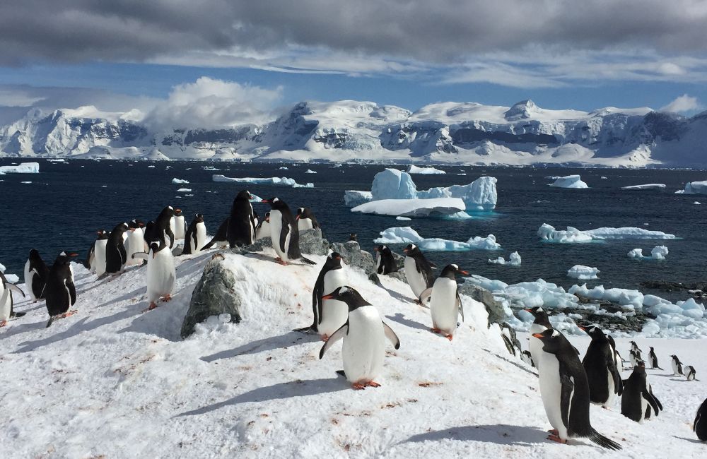 7 Best Tourist Attractions In Antarctica