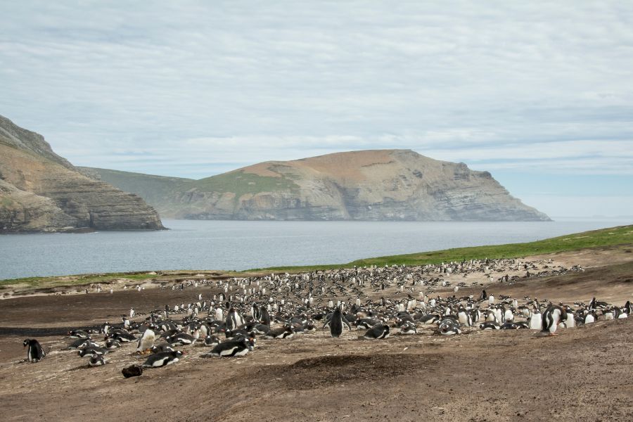 Best Tourist Attractions In Antarctica