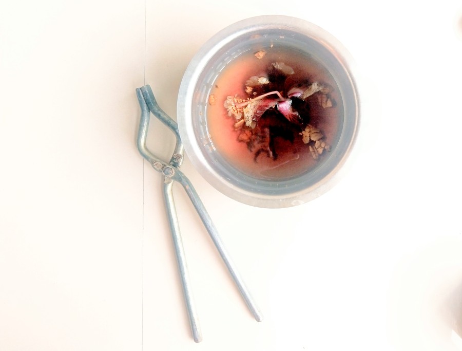 DIY Hibiscus Flower Tea Recipe